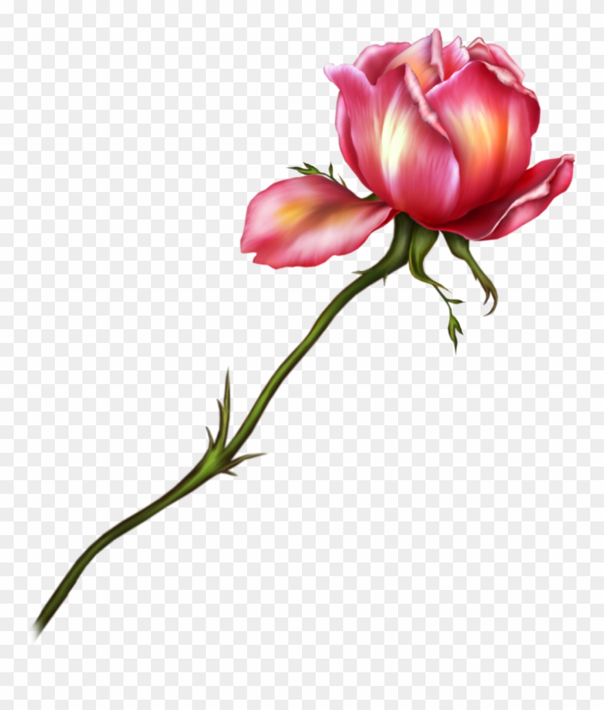 Free High Resolution Graphics And Clip Art Clipart - Flower High Resolution Png Transparent Png