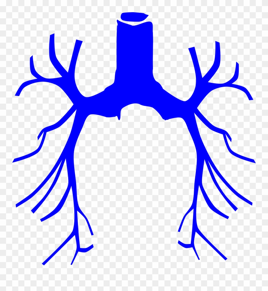 Respiratory Failure Cliparts 3, Buy Clip Art - Png Download