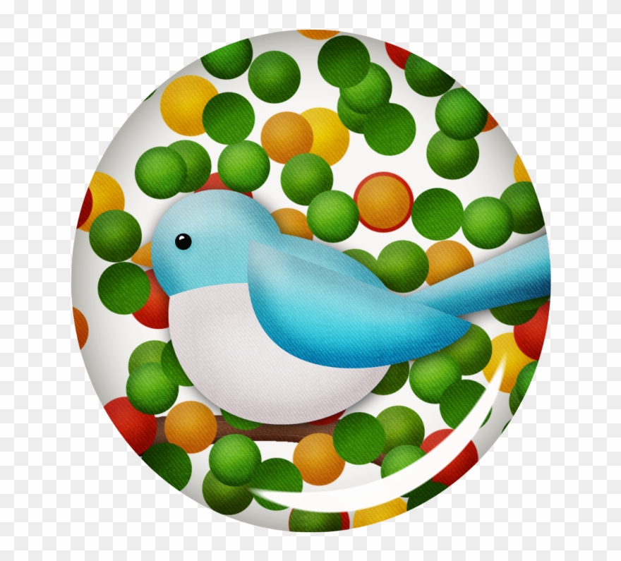 Imágenes De Aves - Circle Clipart