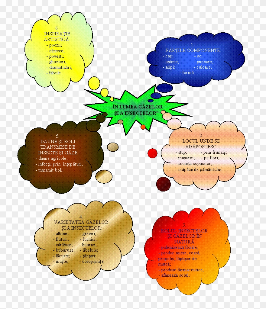 De Ce Lumineaza Licuricii Noaptea Gif Proiect Pictura - Plm Clipart