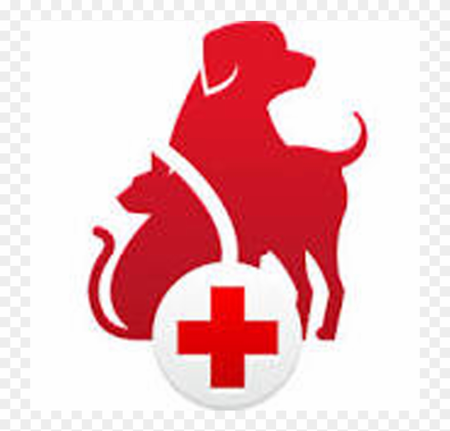 Pet First Aid - Pet First Aid App Clipart