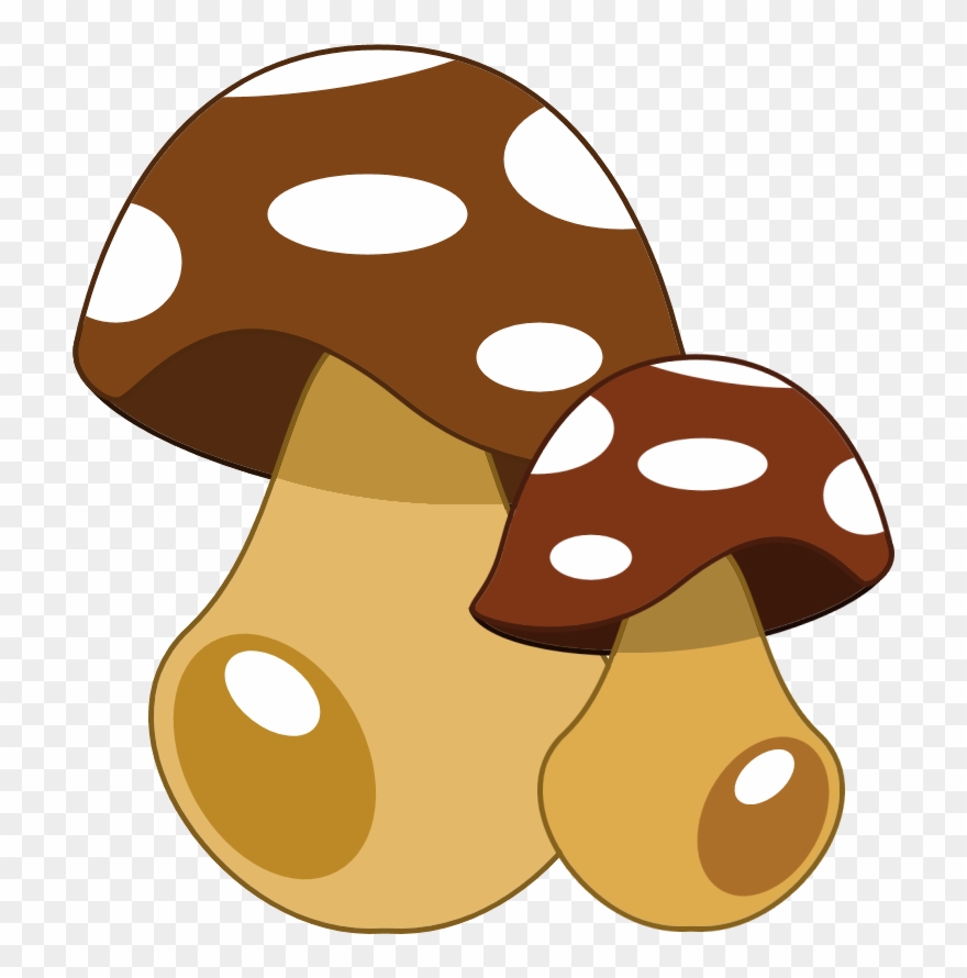 Http - //danimfalcao - Minus - Com/mygimocebbww - Shiitake Clipart