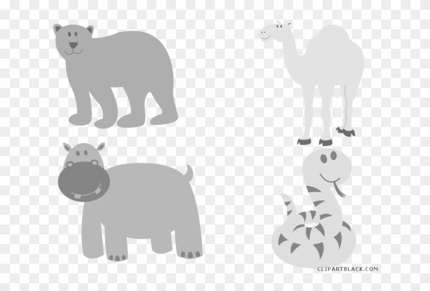 Baby Snake Animal Free Black White Clipart Images Clipartblack - Desenhos De Animais Selvagens Coloridos - Png Download
