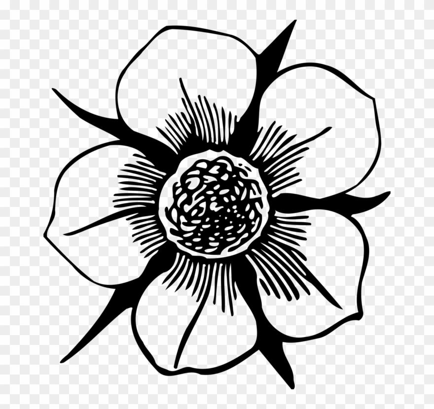 Flower Computer Icons Drawing Petal Download - Strawberry Flower Clipart - Png Download