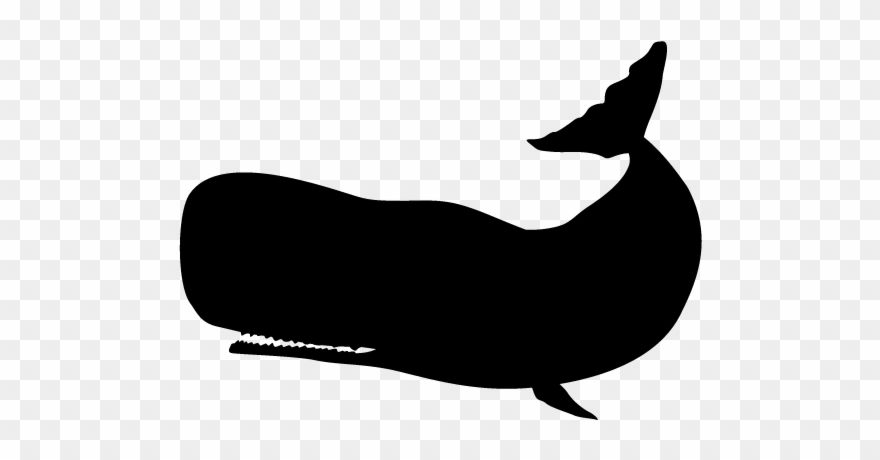 Animal Silhouette Free Illustrations Icon View All - Whale Silhouette Png Clipart