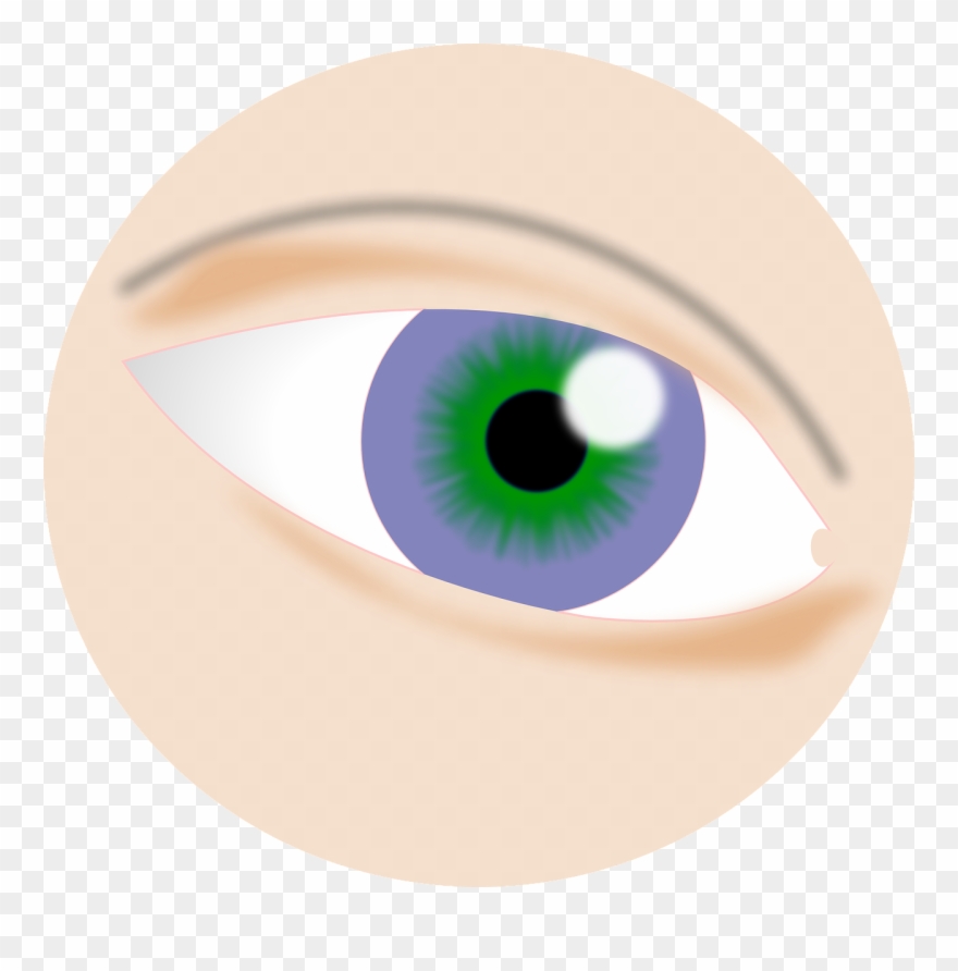 Eye Clipart