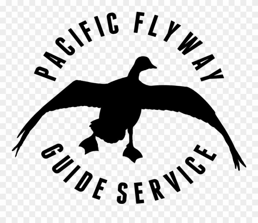 Early Canada Goose Hunts - Duck Clipart