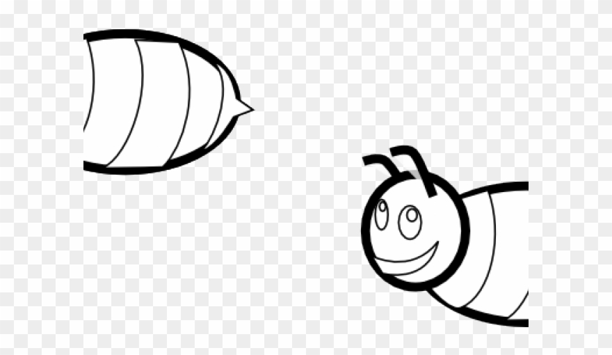 Mollusc Clipart Bee - Portable Network Graphics - Png Download
