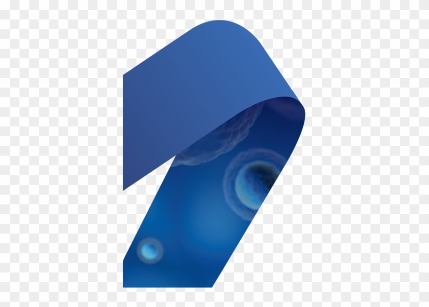 Unlock A World Of Potential With Mei By Your Side - Circle Clipart