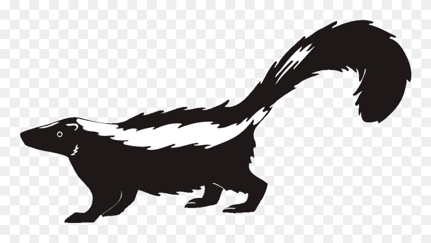 Skunk Clipart Transparent - Skunk Clipart - Png Download