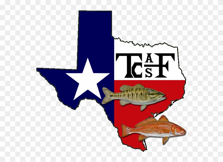 John Kauffman Llc - American Fisheries Society Clipart