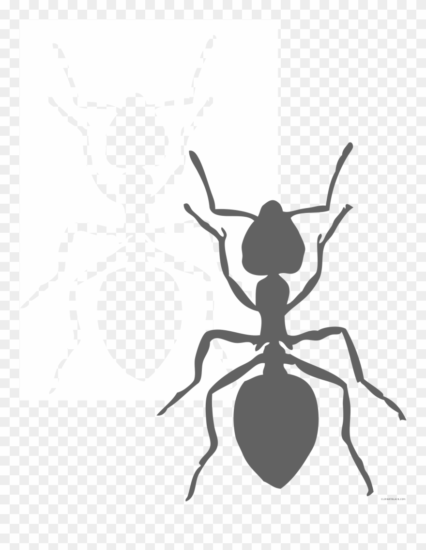 Page Of Clipartblack Com Black And White - Black Ant Clip Art - Png Download