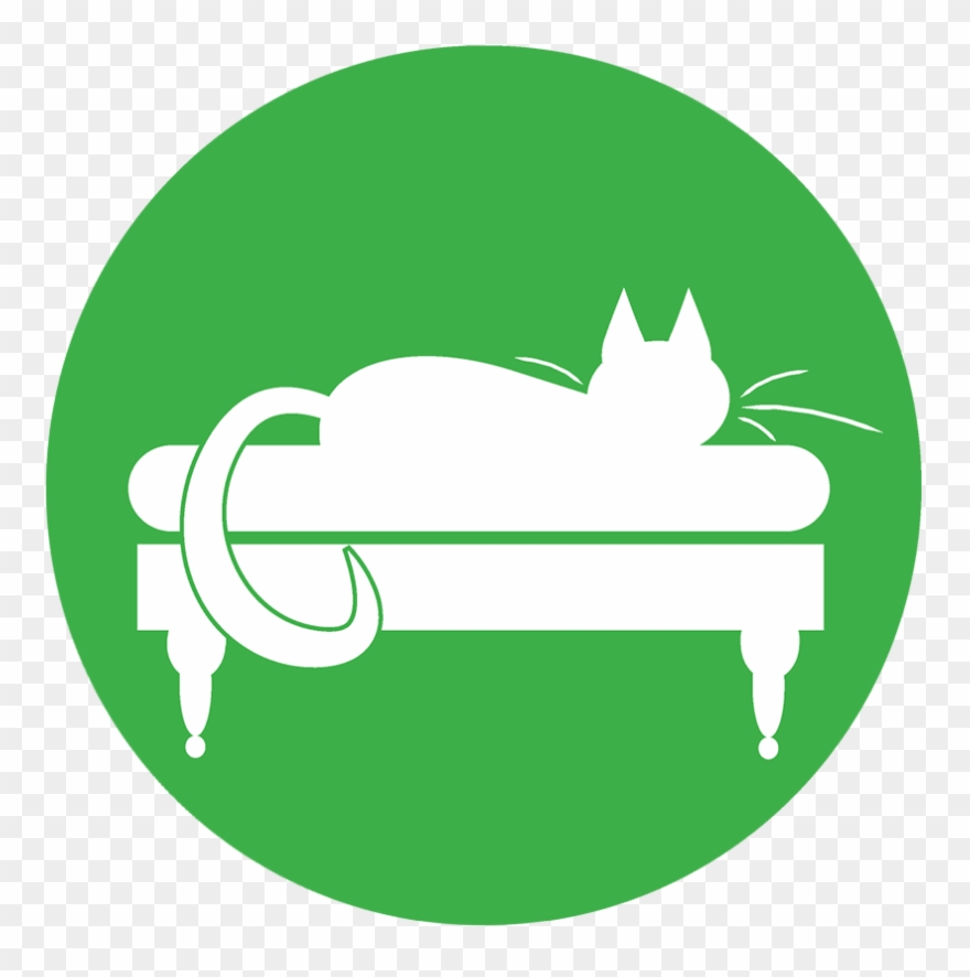 We're Here To Provide All Your Sydney Cat Boarding - International Cooperation Png Clipart