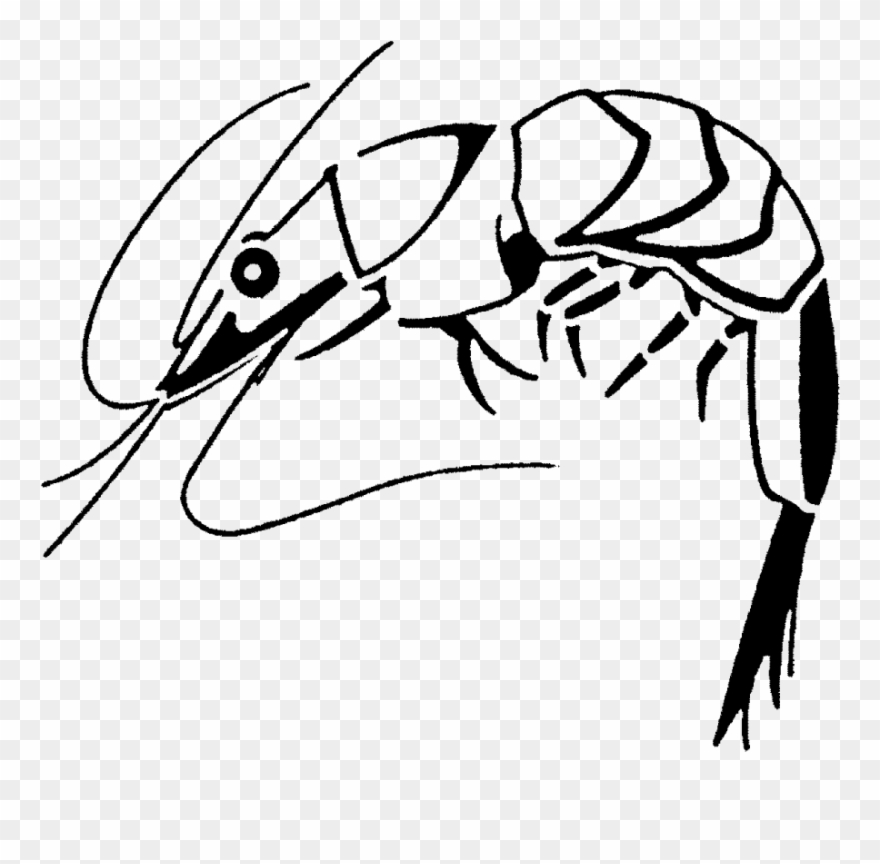 Prawn Rubber Stamp Craft And Card Making - Cardmaking Clipart