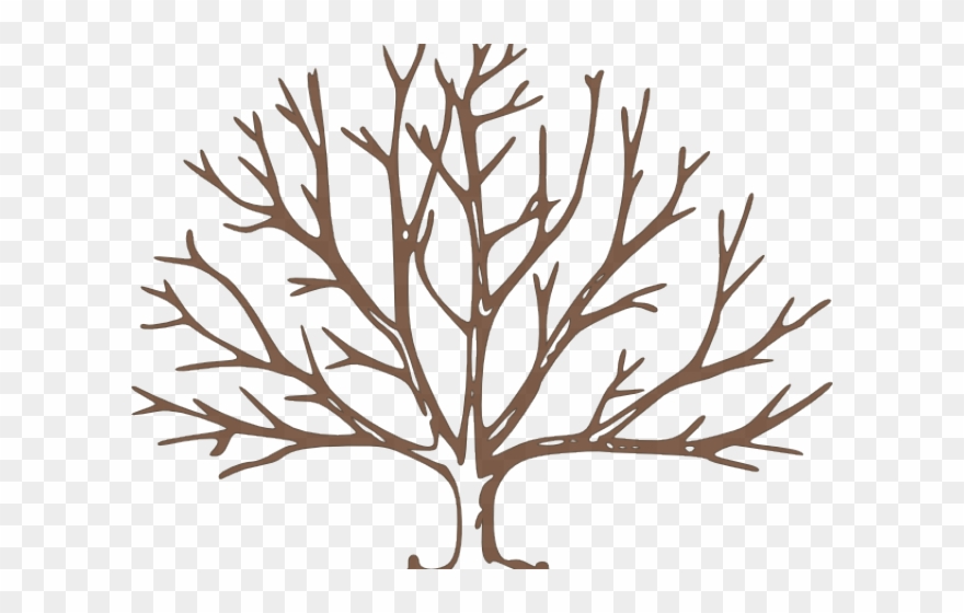 Bare Cliparts - Draw A Tree With Snow - Png Download