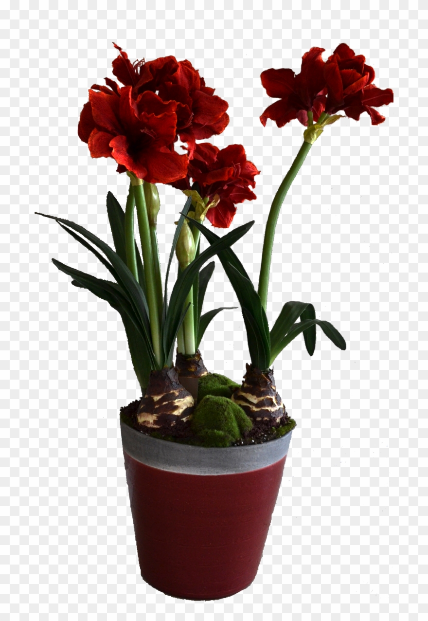 Display All Pictures - Artificial Flower Clipart