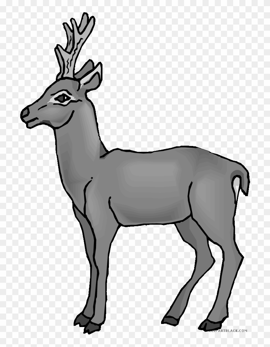 Page Of Clipartblack Com Cute Animal Free - Deer Clipart Gif - Png Download