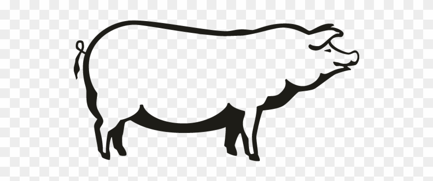 Pig Clipart
