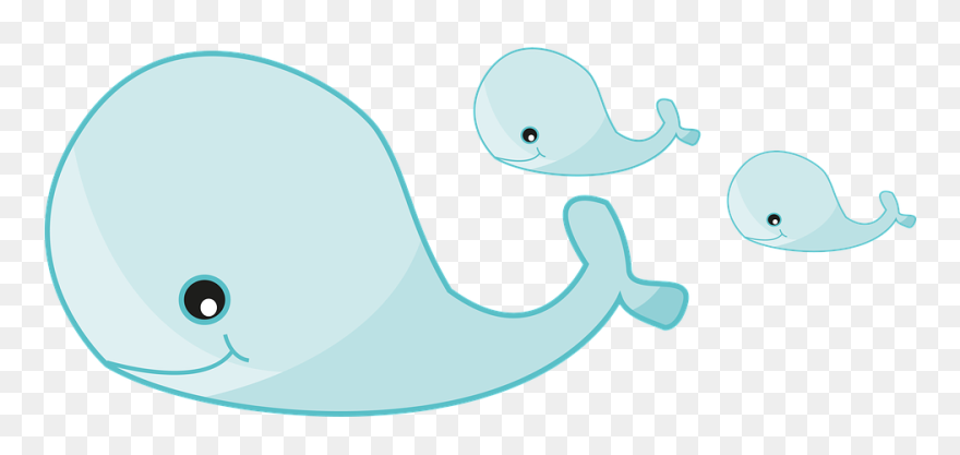 Cartoon Whale Cliparts 29, Buy Clip Art - Png Download