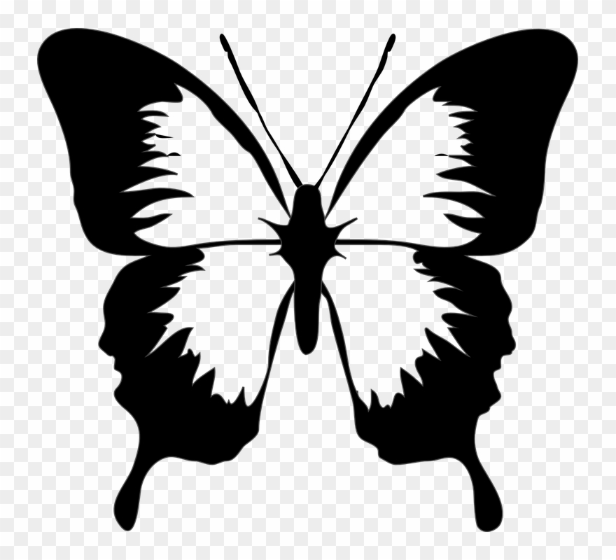 Butterfly Silhouette Cliparts 13, Buy Clip Art - Png Download
