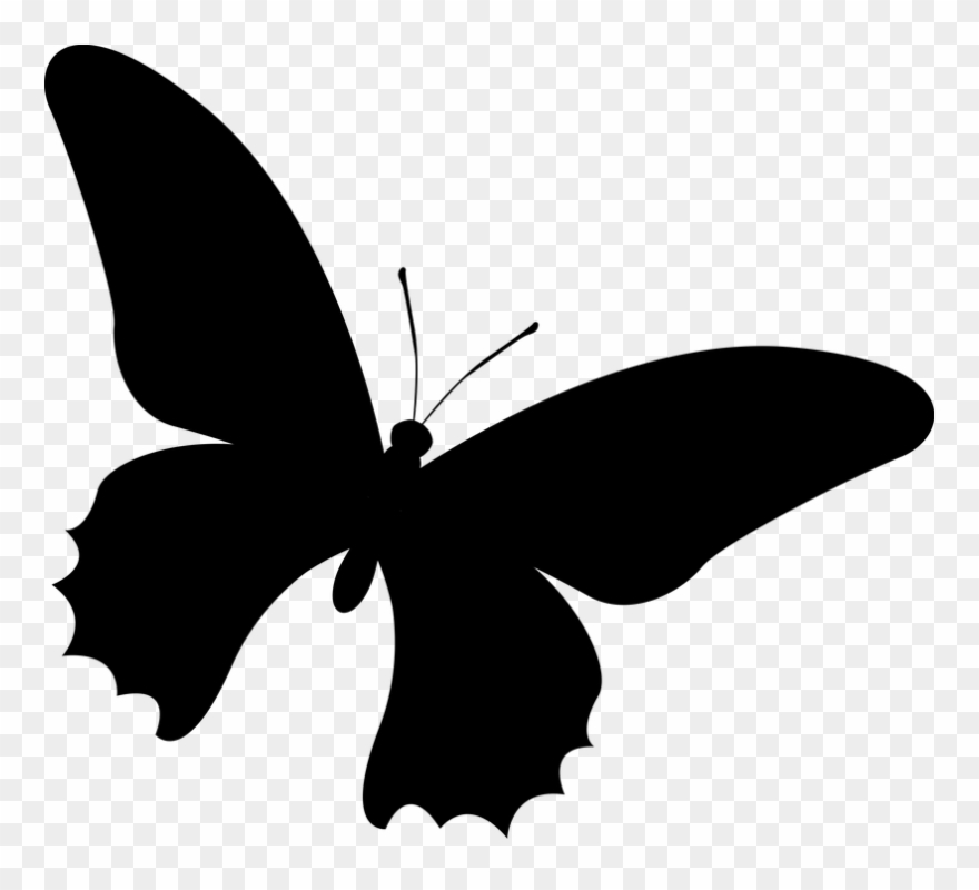 Butterfly Silhouette 7, Buy Clip Art - Png Download