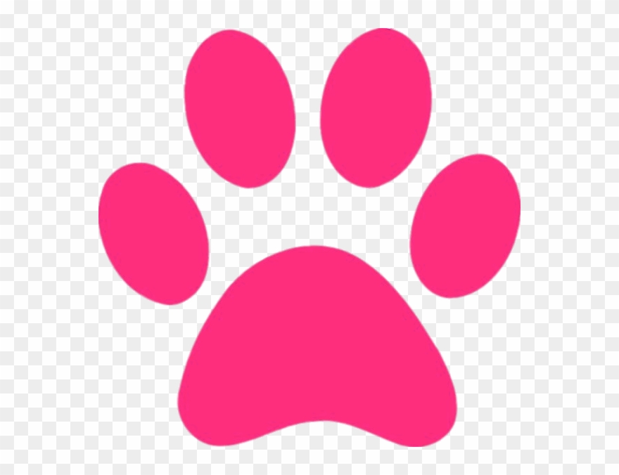 Download - Pink Paw Print Clipart - Png Download