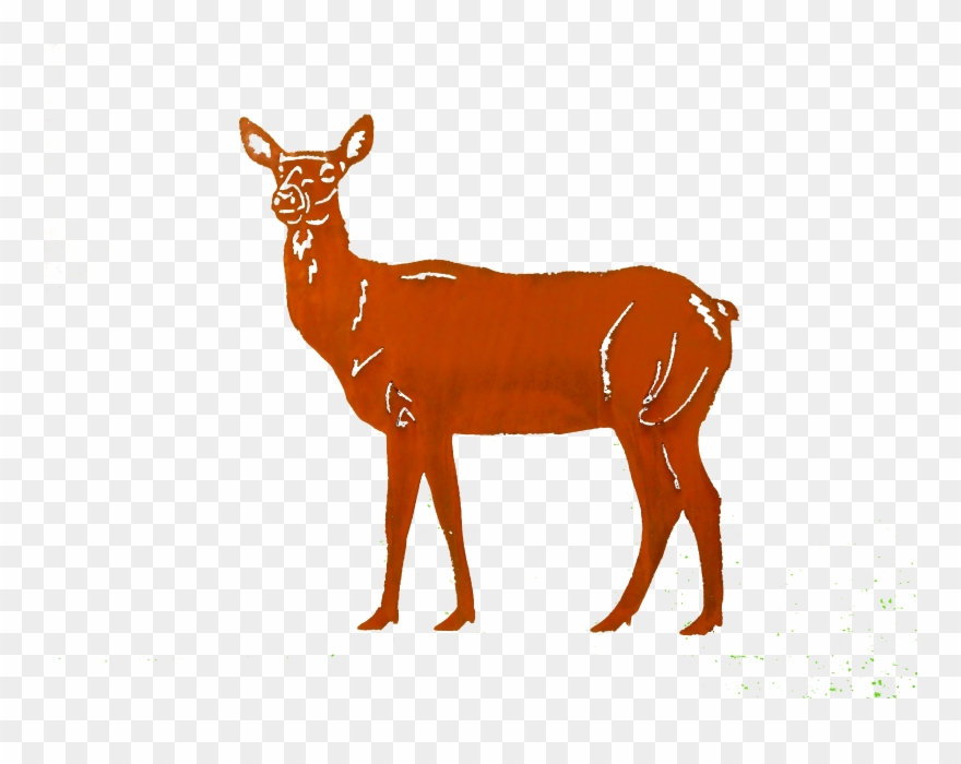 Doe-small Larger Image - White-tailed Deer Clipart
