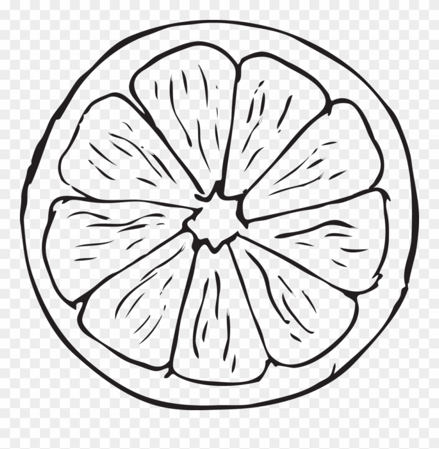 Download Orange Drawing 16 Clipart Of Black And White Half Orange For Coloring Png Download