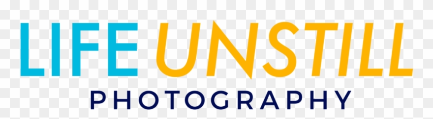 Life Unstill Photography Clipart