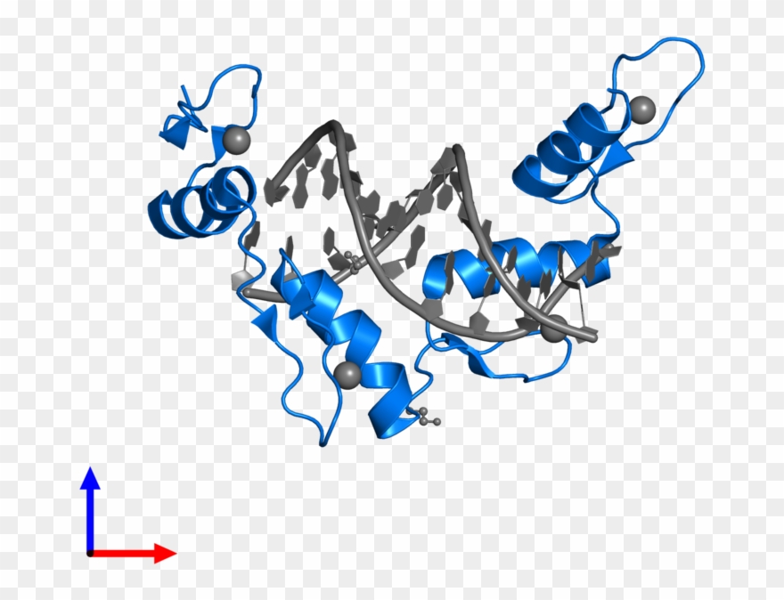 <div Class='caption-body'>pdb Entry 6b0p Contains 1 - Graphic Design Clipart