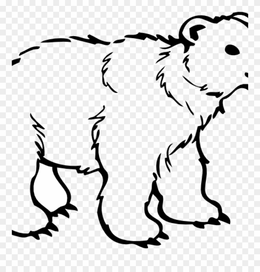 Polar Bear Clipart Free 19 Polar Bear Graphic Free - Polar Bear Black And White - Png Download