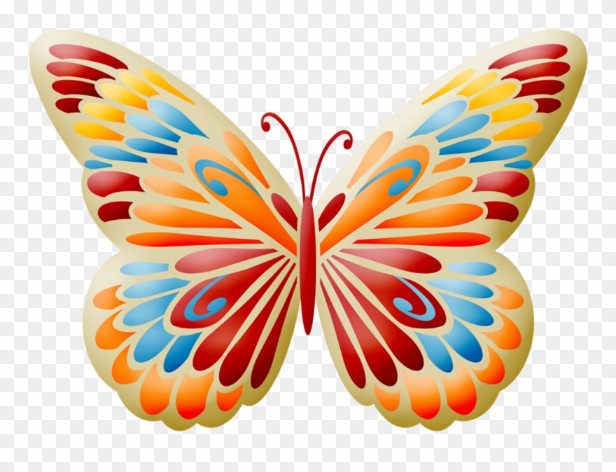 Co Ladybug Borboleta - Butterfly Clipart