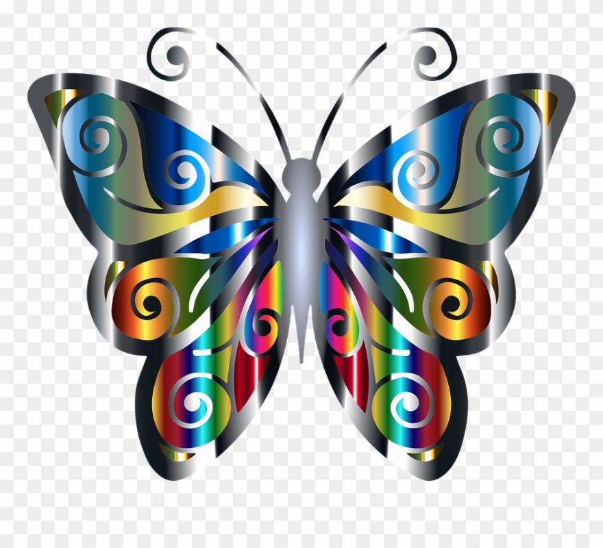 Butterfly Art 5, Buy Clip Art - Png Download