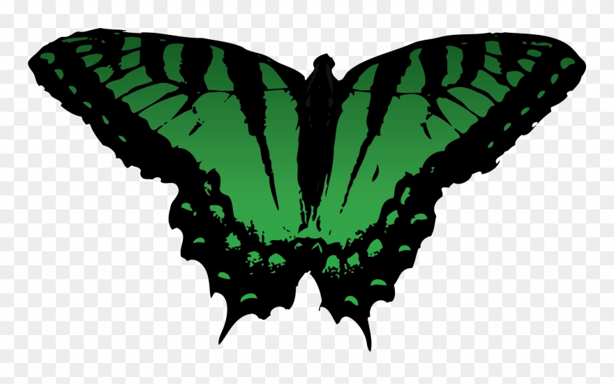 Butterfly Vector Free For Use By Romansiii On Clipart - Png Download