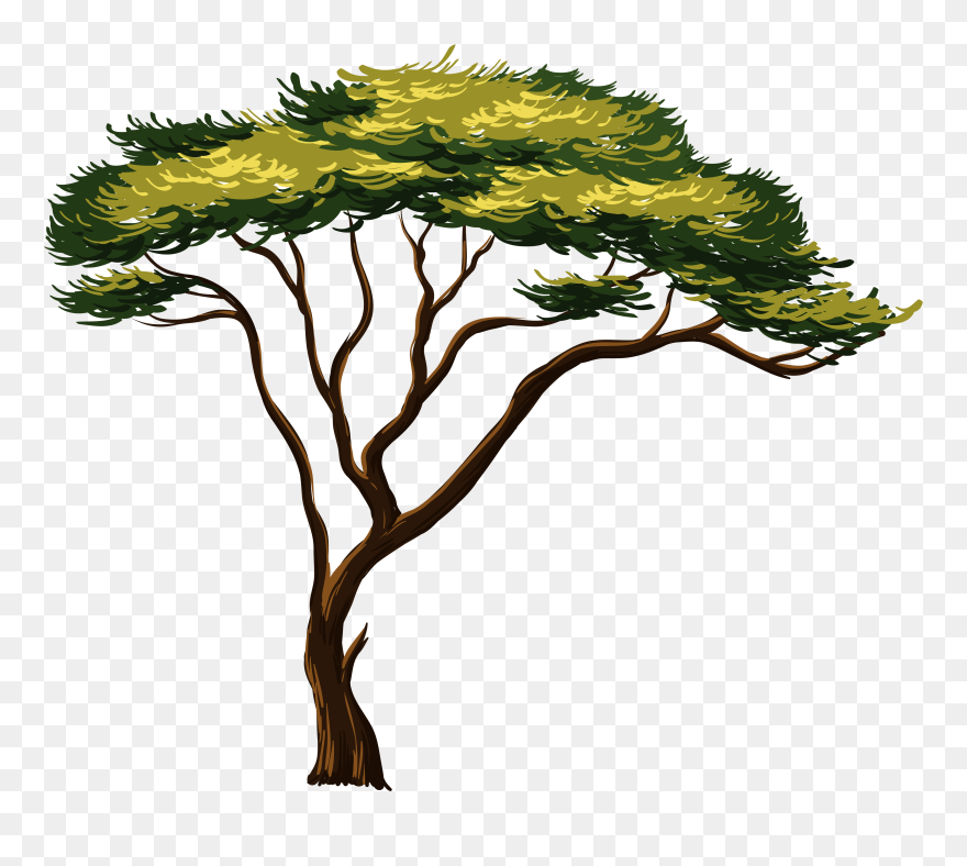 Safari Clipart Snake - African Trees Clipart - Png Download
