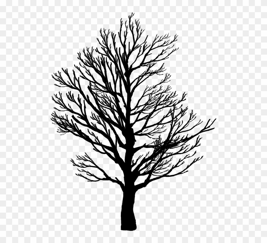 Barren, Branches, Nature, Plant, Plants, Silhouette - Tree Silhouette Art Clipart