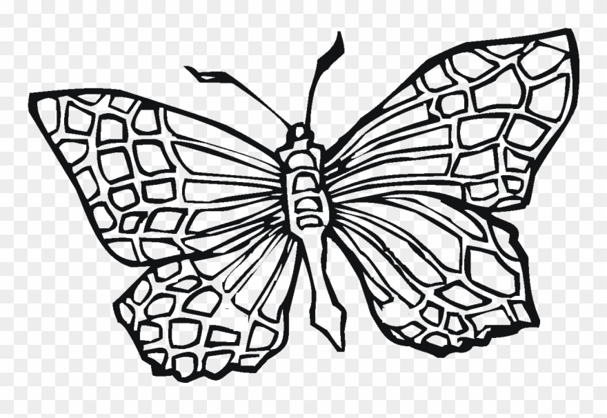 Butterfly Coloring Book - Girls Transparency Coloring Pages Butterfly Clipart