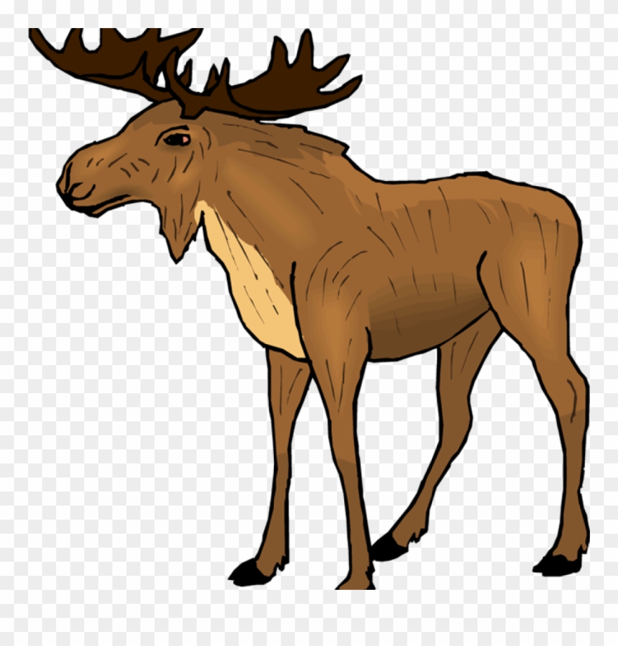 Moose Clipart Free Moose Clipart Classroom Clipart - Moose Clipart - Png Download