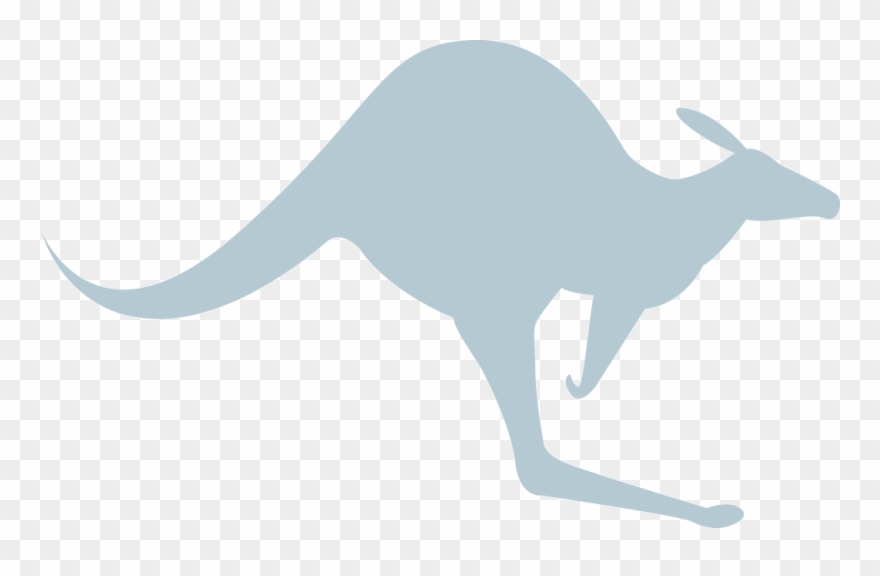 Kangaroo - Kangaroo Silhouette Png Clipart