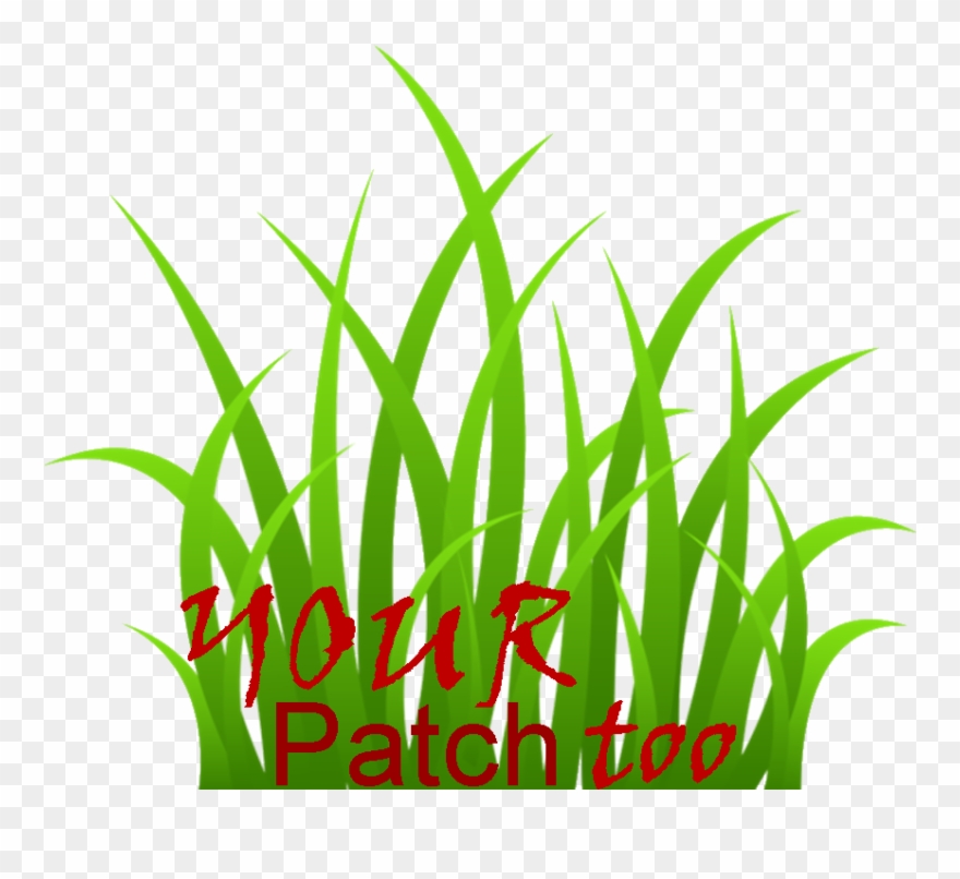 Your Patch Too Logo Feb 2015 - Grass Clipart Transparent Background - Png Download