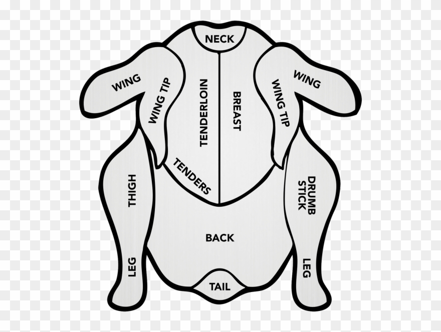 Cooked Chicken Drawing At Getdrawings - Drawing Different Cuts Of Poultry Clipart