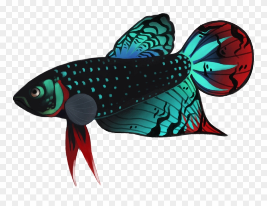 Betta Png Photos - Betta Fish Cartoon Png Clipart