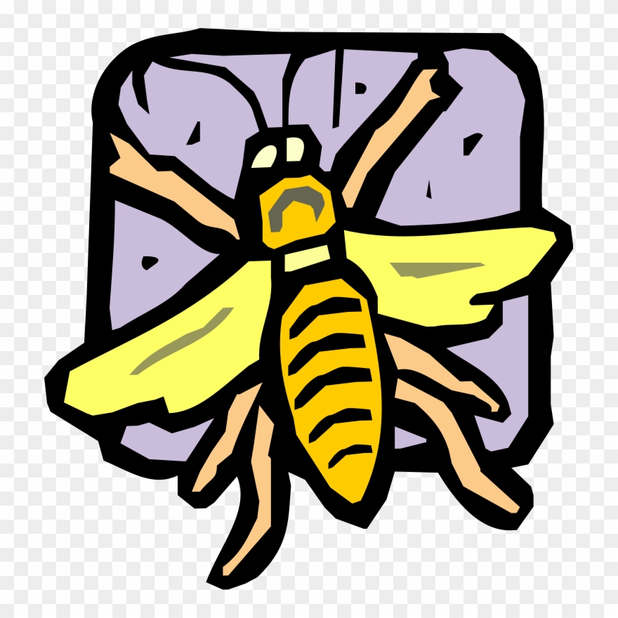 Free Vector Insect - Bees Clipart