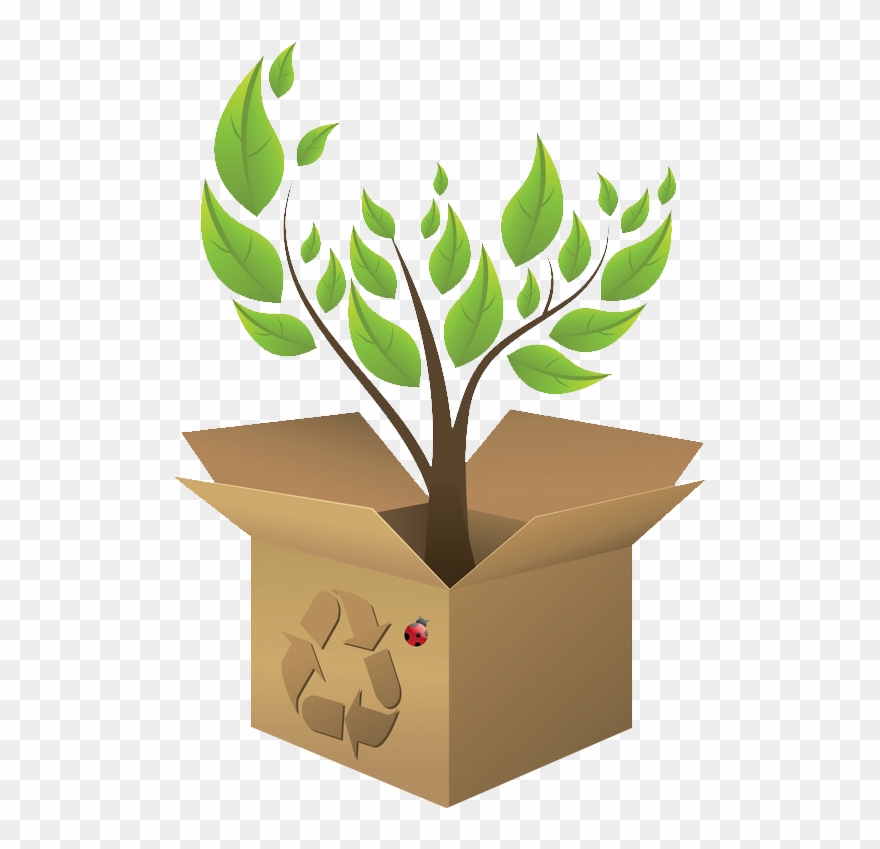 Replace Isomo Boxes By Cardboard Boxes - Ecology Clipart
