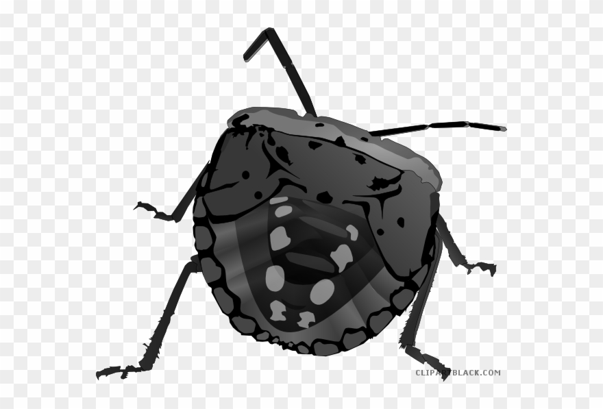 Bug Animal Free Black White Clipart Images Clipartblack - Best Gift - Stink Bug Mens Premium Hoodie/t-shirt/mug - Png Download
