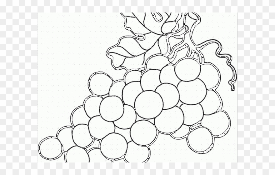 Grapes Clipart Coloring - Good Fruits Clipart Black And White - Png Download