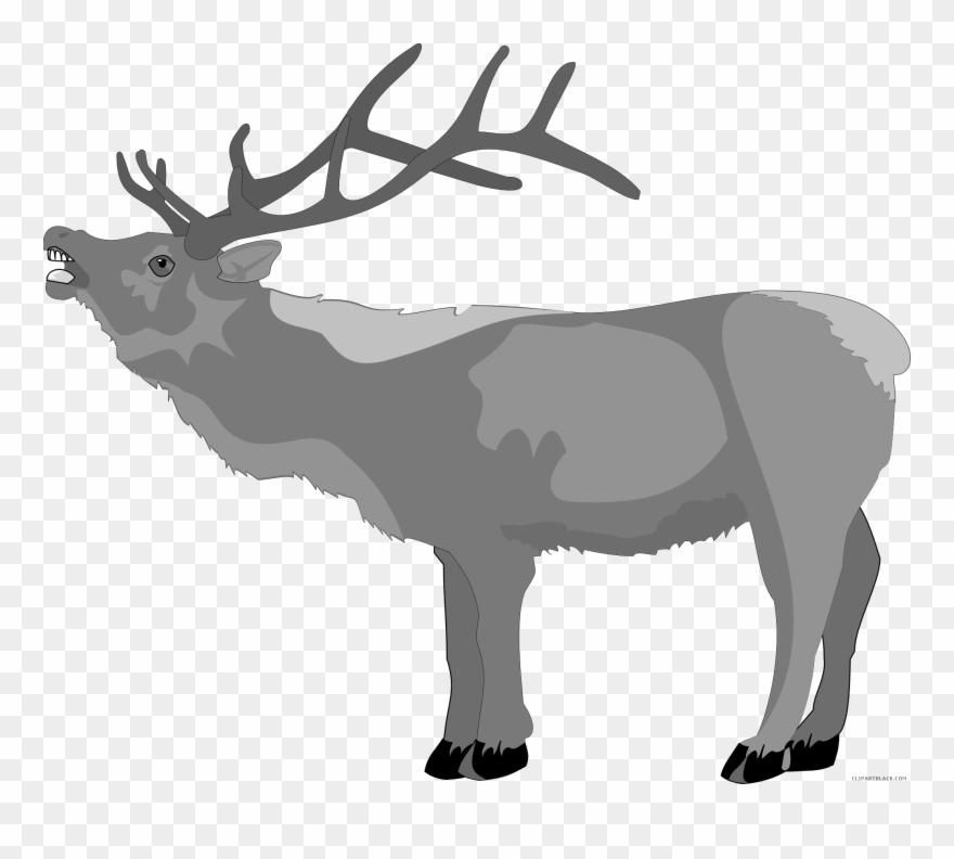 Christmas Reindeer Clipart - Clip Art Deer - Png Download