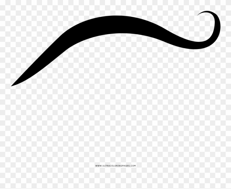 Clip Download Eyebrow Ultra Pages - Ceja Para Colorear - Png Download