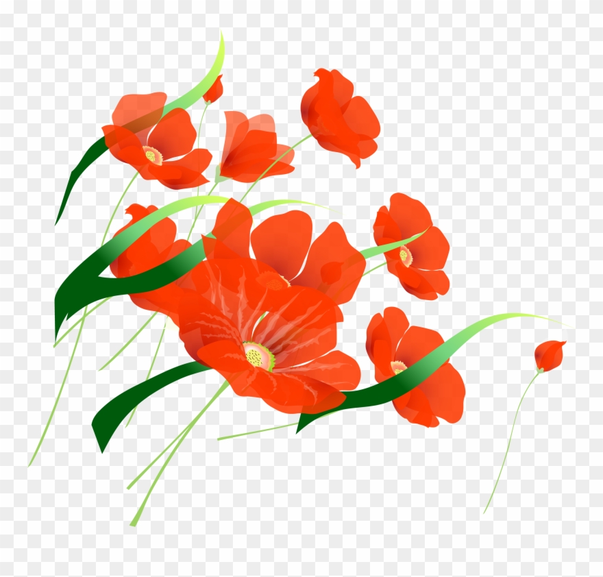 Flores Ilustraciones En Png Para Artesanía Y Diseños - Flores En Fondo Transparente Clipart