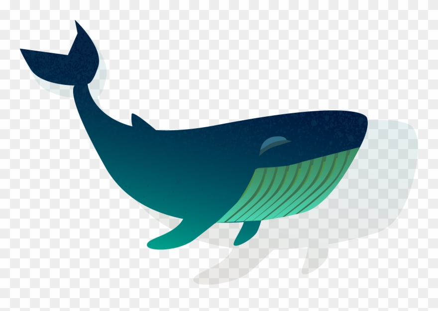 Blue Whale Clipart Shark - Whales - Png Download